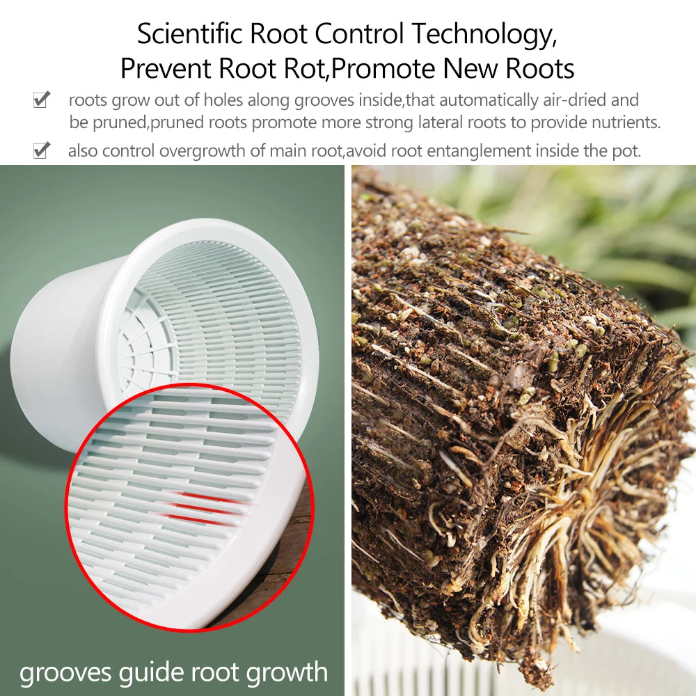 Double Layer Mesh Orchid Pot with Drainage Holes