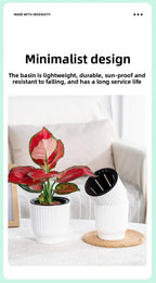 Self-Watering Resin Succulent Planter Pot