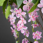 95cm Artificial Hanging Jasmine & Peach Blossom Plant