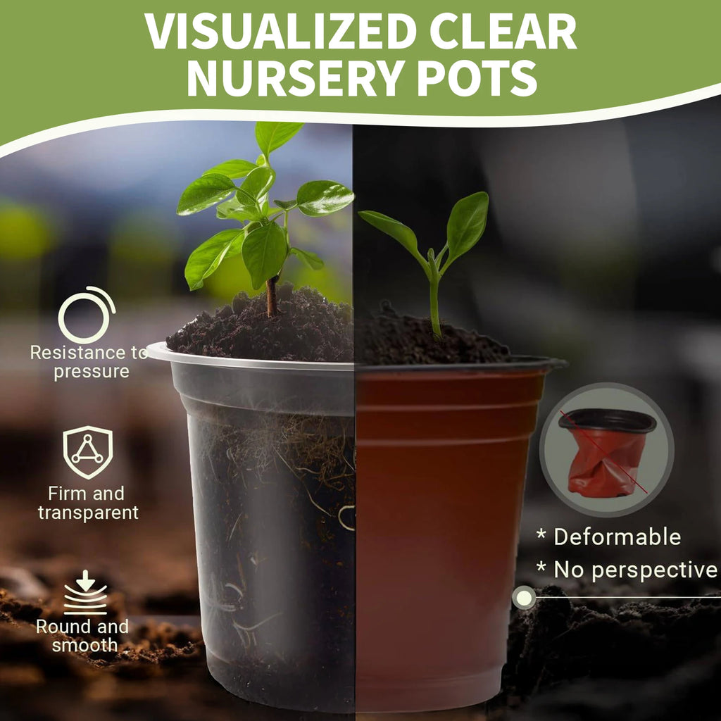 5PCS Transparent Hydroponic Plant Pots with Saucers