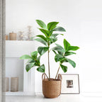 77–135cm Artificial Fiddle Leaf Ficus Fig Tree