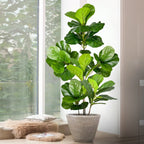 77–135cm Artificial Fiddle Leaf Ficus Fig Tree