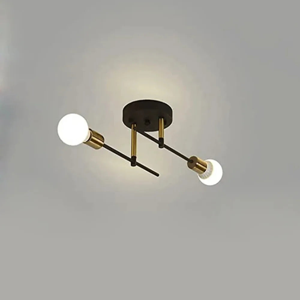 Vintage 2-Light Iron Ceiling Light – Black E27 Surface Mount