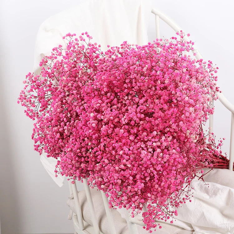 Flower Dried Pampas Grass Bouquet Indoor Home & Event Decor