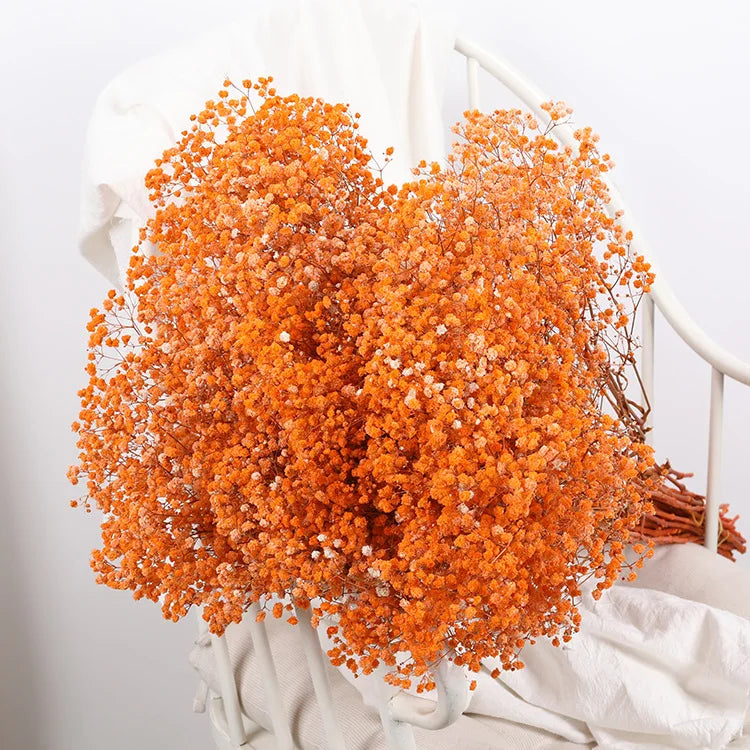 Flower Dried Pampas Grass Bouquet Indoor Home & Event Decor