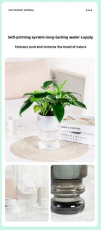 Self-Watering Transparent Plastic Succulent Pot