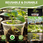5PCS Transparent Hydroponic Plant Pots with Saucers