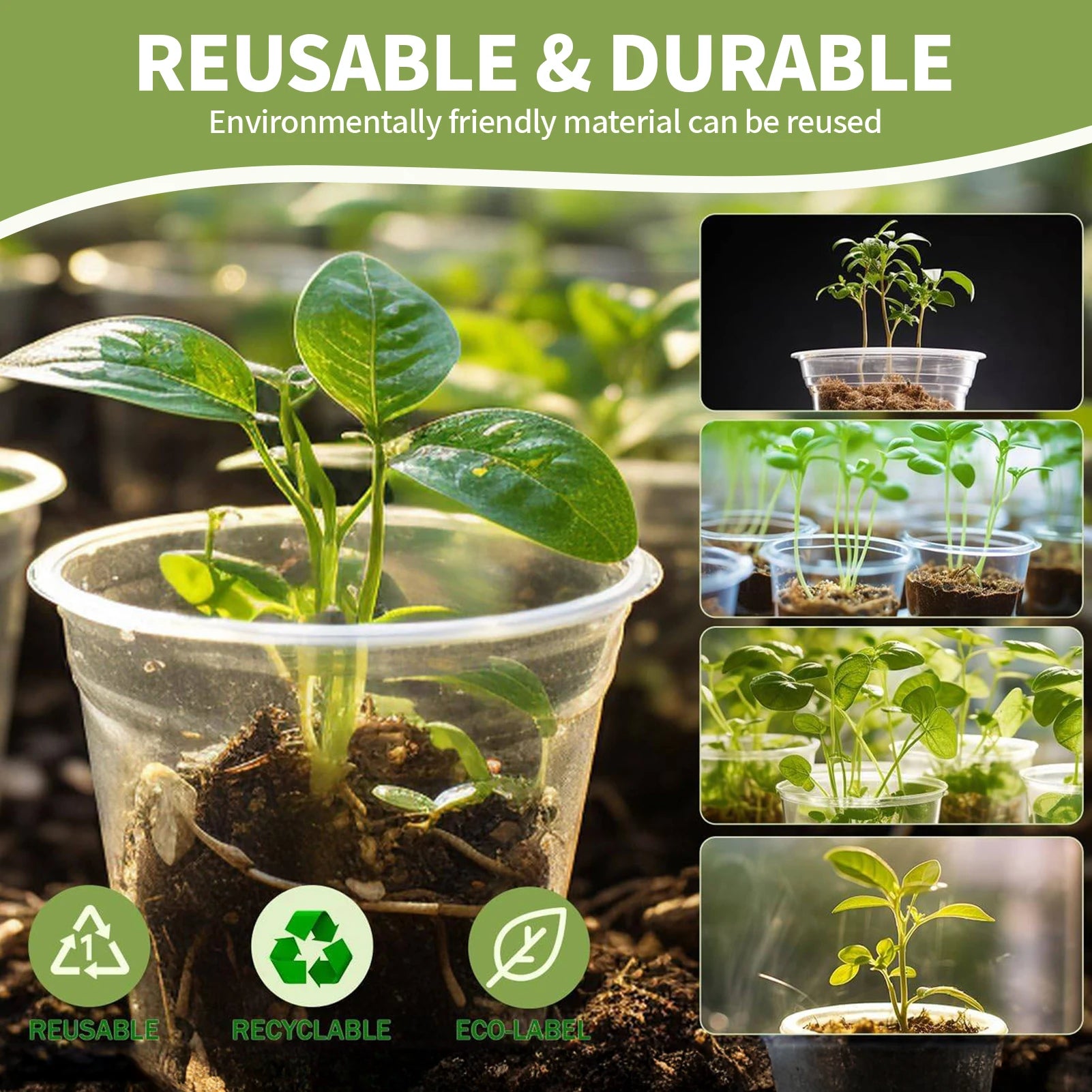 5PCS Transparent Hydroponic Plant Pots with Saucers