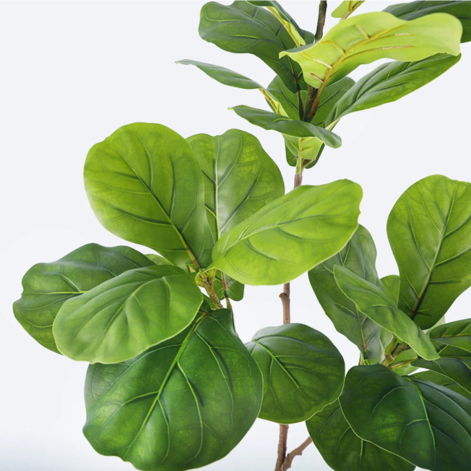 77–135cm Artificial Fiddle Leaf Ficus Fig Tree