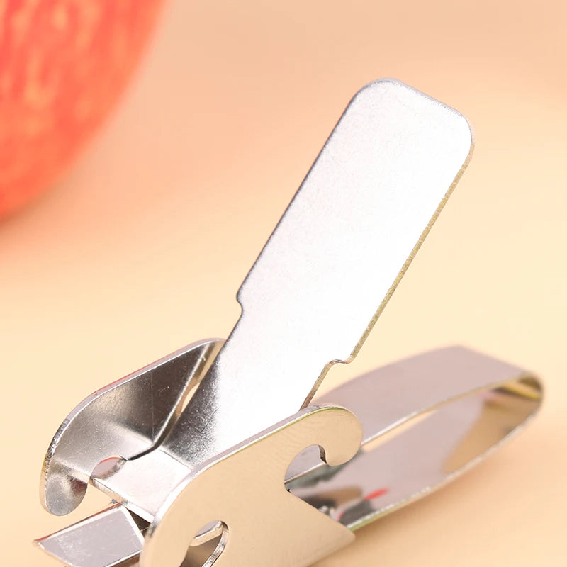 Stainless Steel Nut & Seed Cracker – Melon, Peanut & Watermelon Peeler