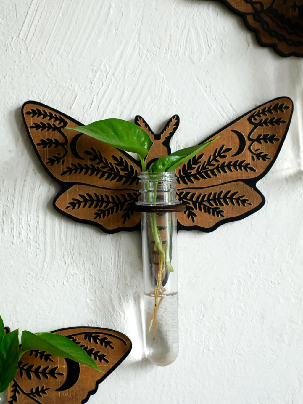 Wooden Butterfly Wall-Mounted Hydroponic Planter