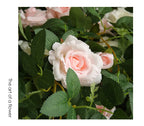 66cm Artificial Silk Rose Vine Indoor Wedding & Party Decor