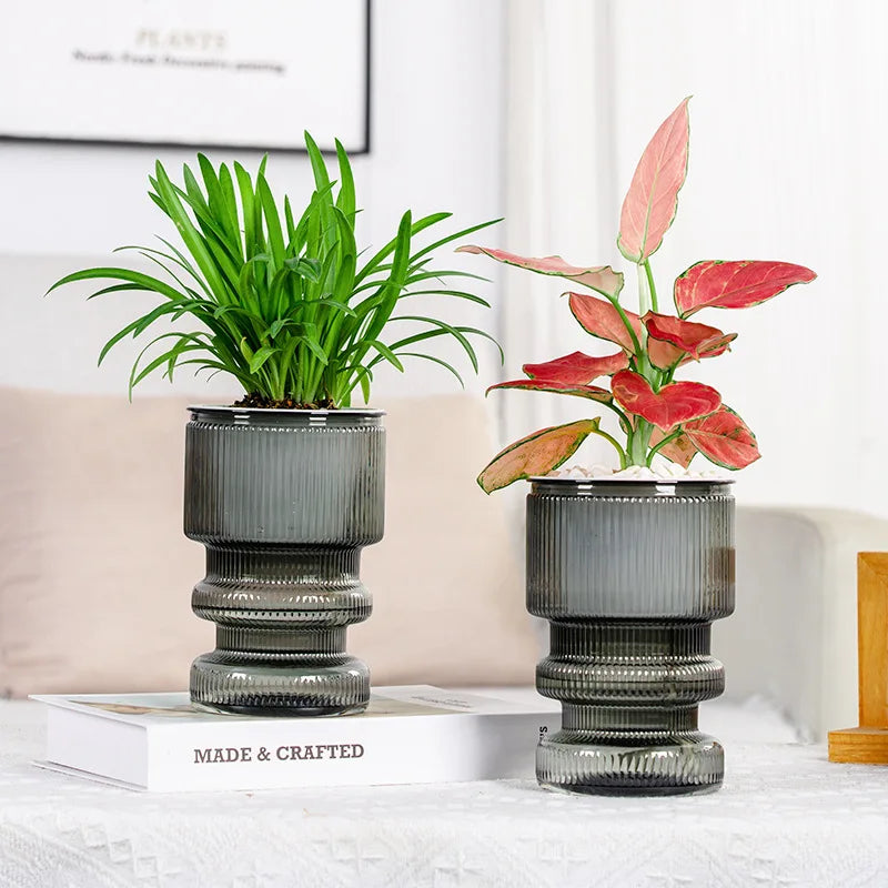Self-Watering Transparent Plastic Succulent Pot