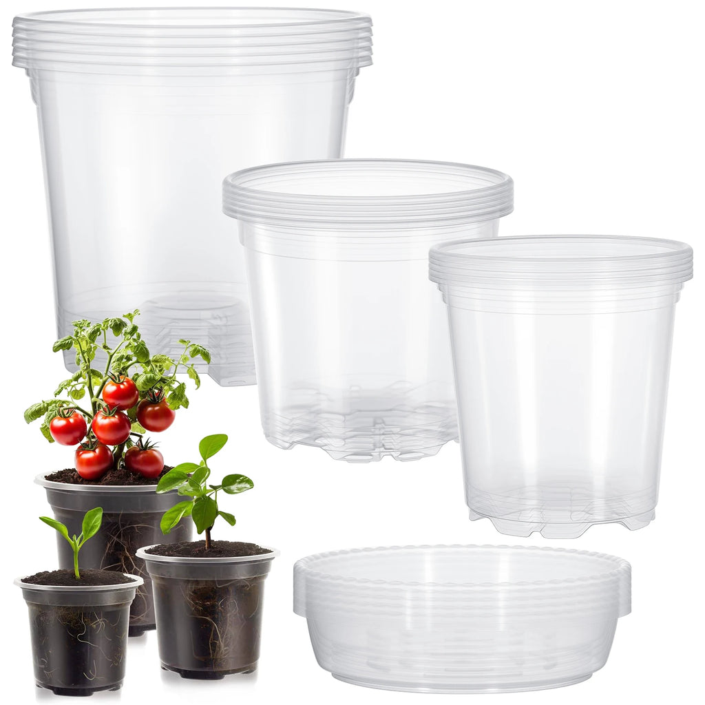 5PCS Transparent Hydroponic Plant Pots with Saucers