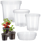 5PCS Transparent Hydroponic Plant Pots with Saucers