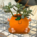 Cute Cartoon Orange Smiling Face Flower Pot
