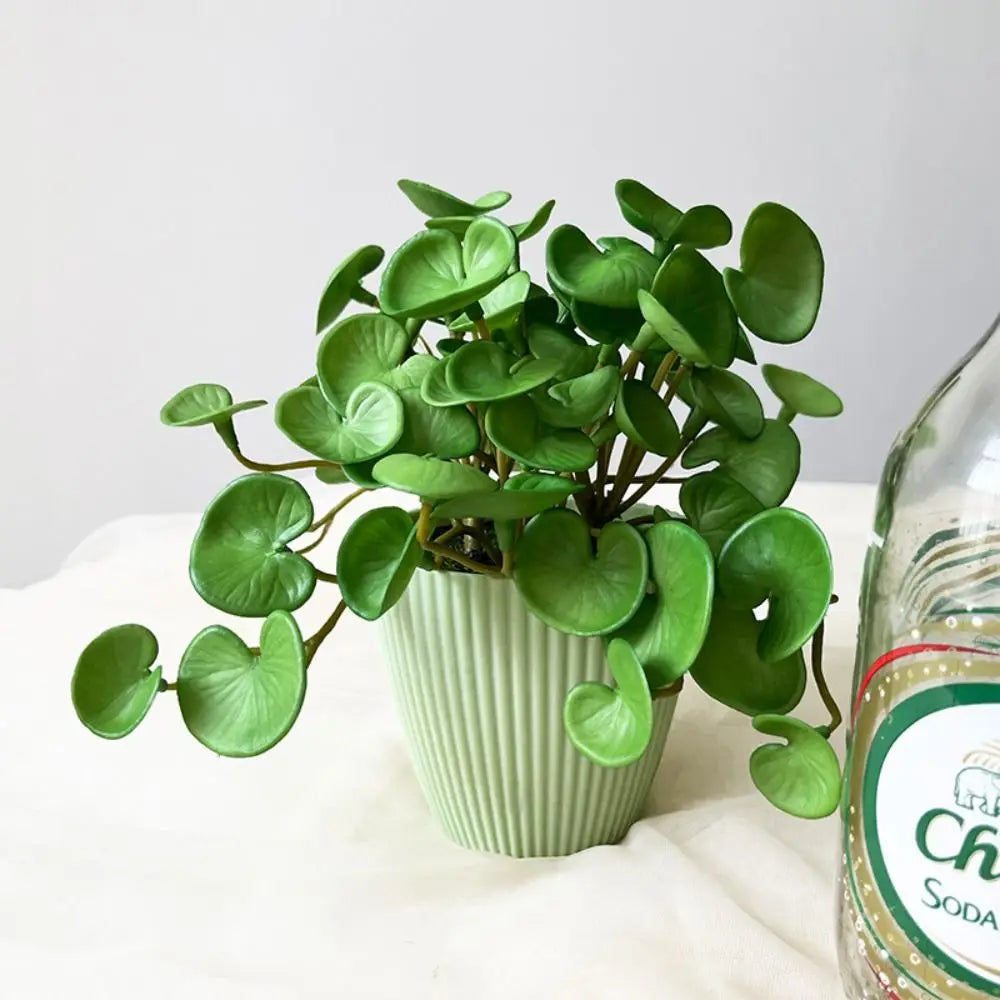 Artificial Mini Copper Coin Grass Plant for Decor