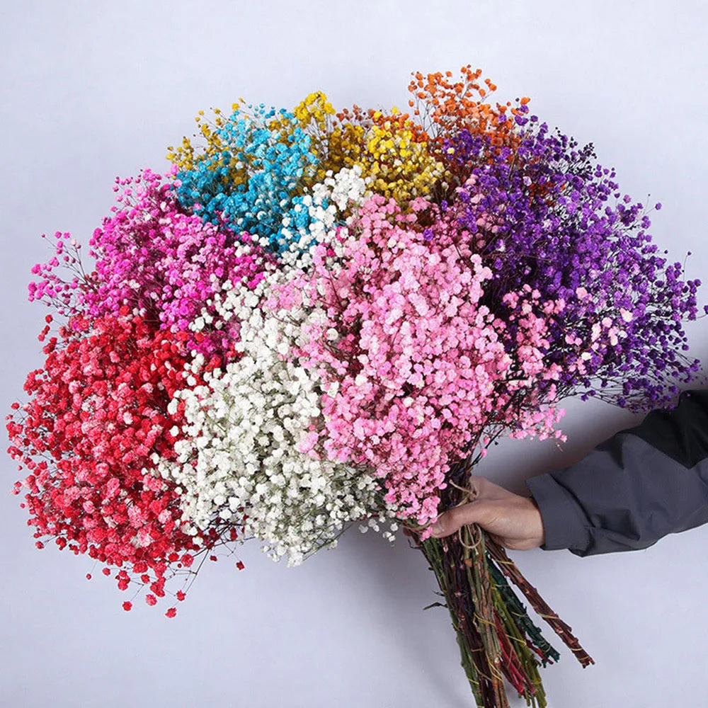 Flower Dried Pampas Grass Bouquet Indoor Home & Event Decor