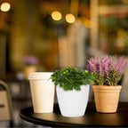 5-Pack Self-Watering Hanging Flower Pots with Rope