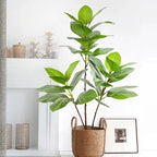 77–135cm Artificial Fiddle Leaf Ficus Fig Tree