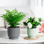 Self-Watering Resin Succulent Planter Pot