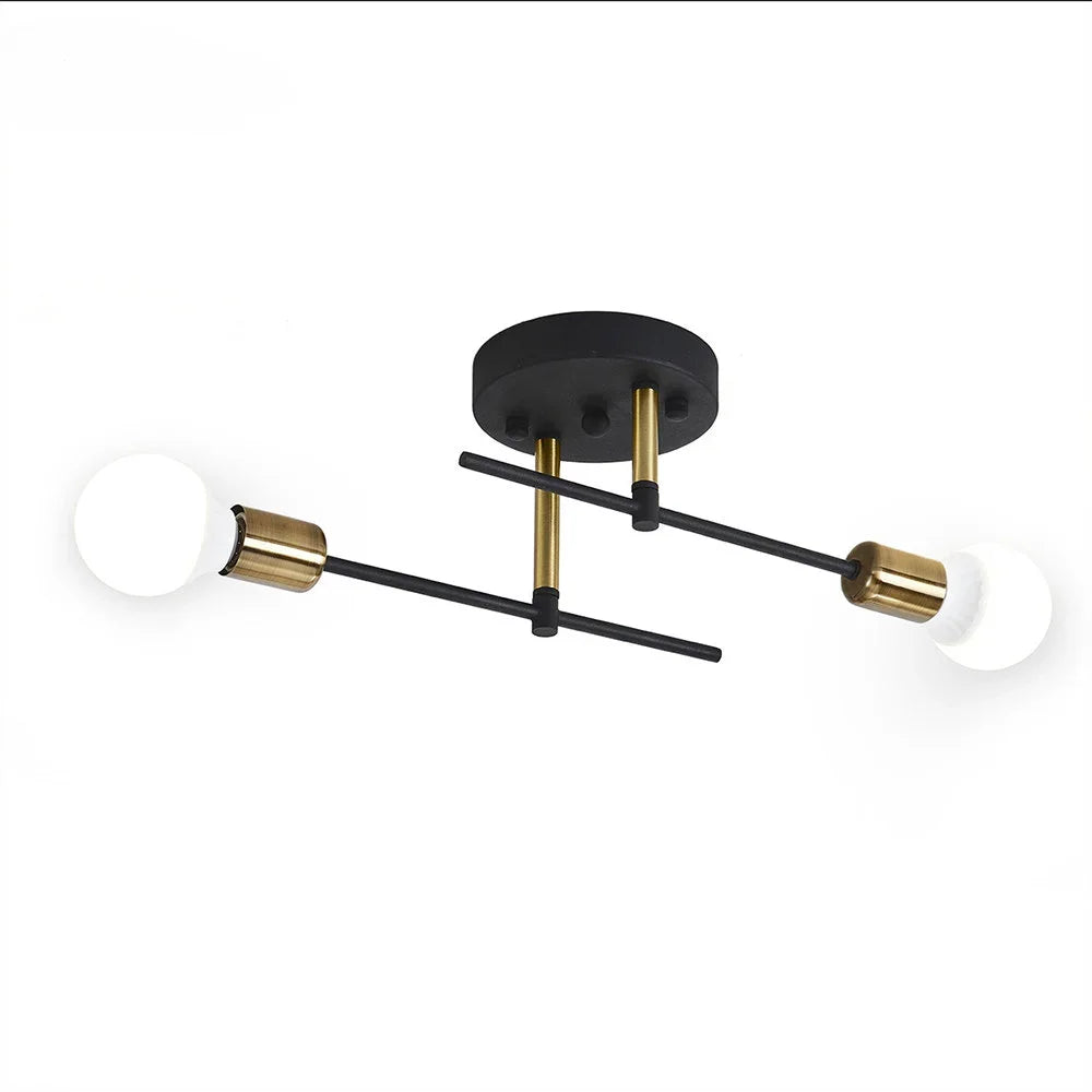 Vintage 2-Light Iron Ceiling Light – Black E27 Surface Mount