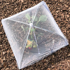 Eco-Friendly 17” Pop-Up Picnic Food Covers – Mesh Umbrella Tent