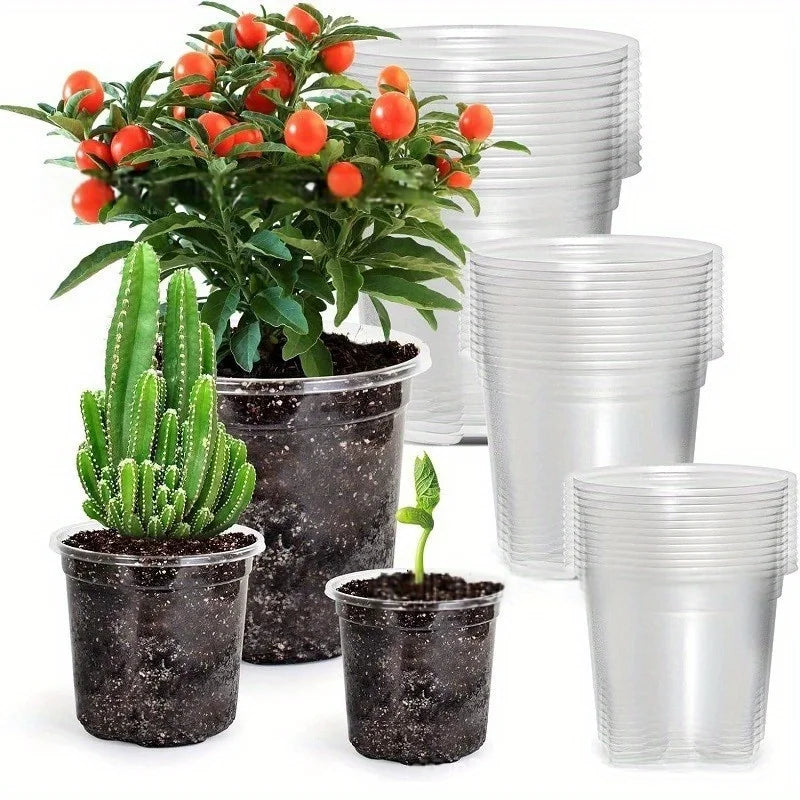 Transparent Plastic Nursery Pots with Drainage Holes