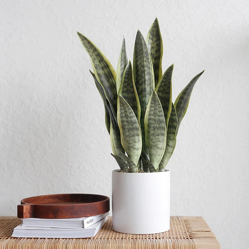 Artificial Aloe Vera Plant Desktop Outdoor Home & Event Decor