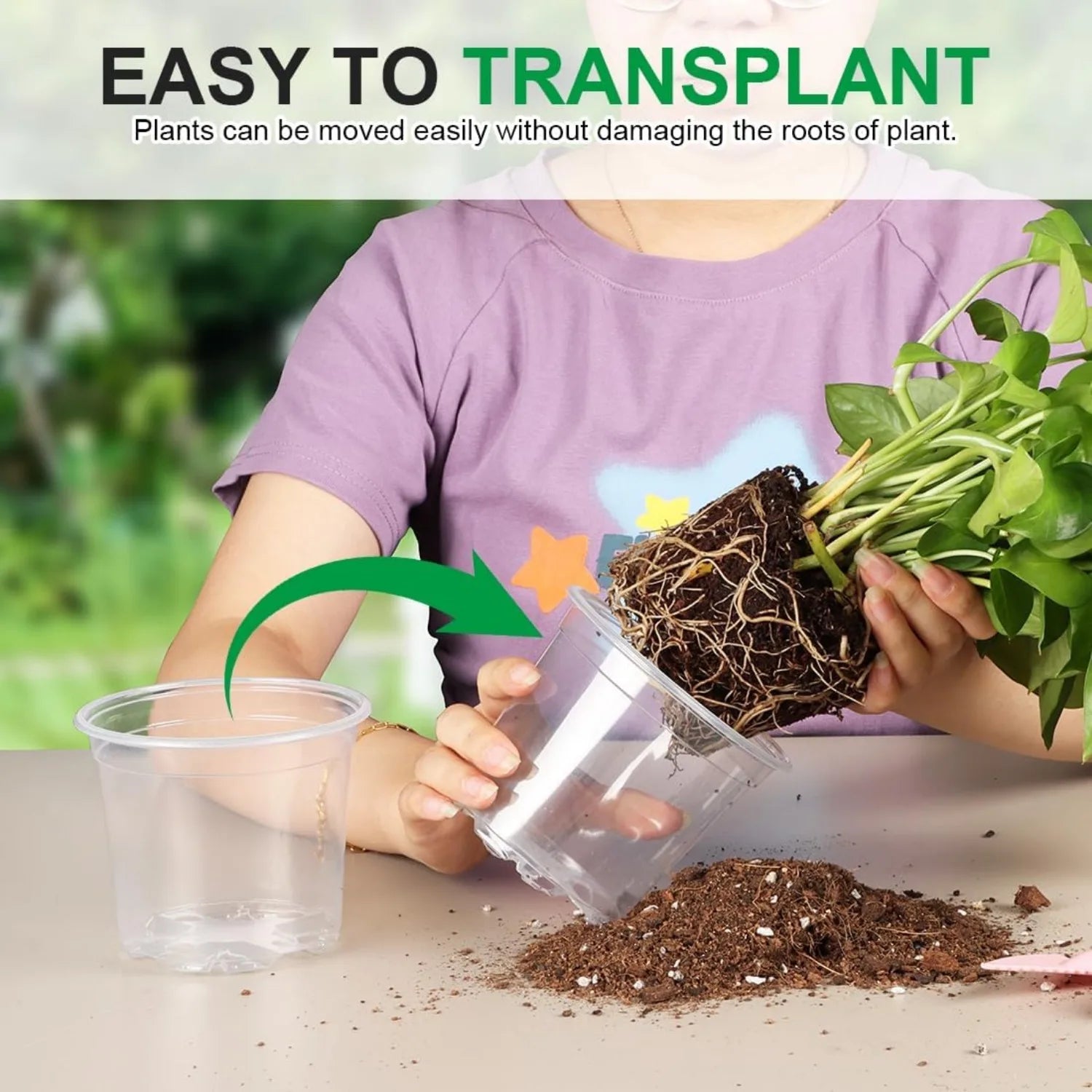 Transparent Plastic Nursery Pots with Drainage Holes