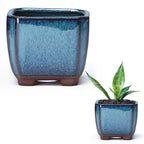 Ceramic Succulent Flower Pot with Vent & Drainage