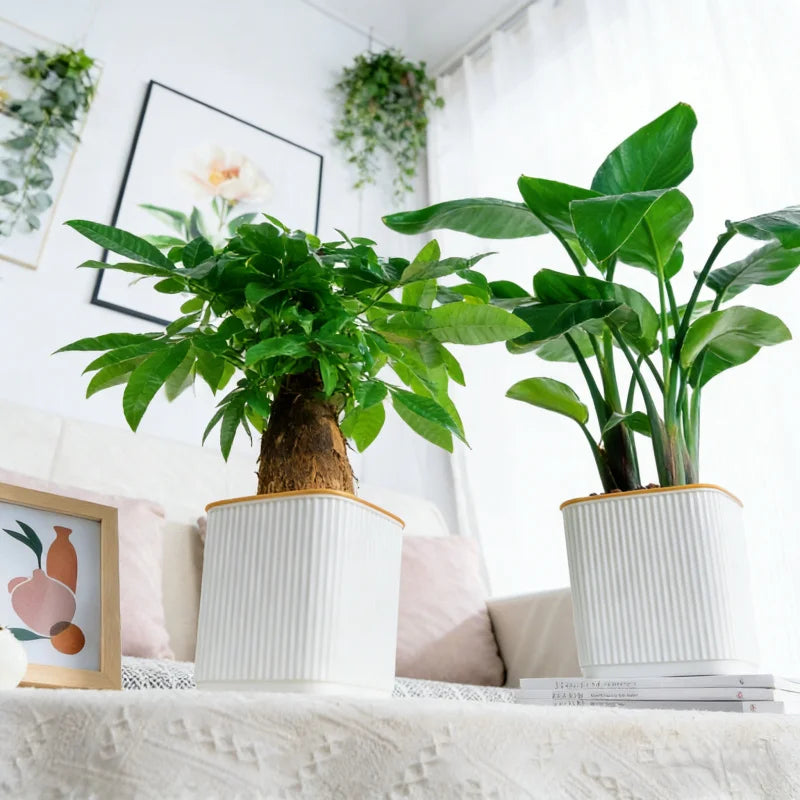Self-Watering Nordic Style Square Flower Pot