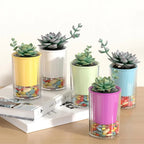 Imitation Glass Plastic Succulent Planter Pot