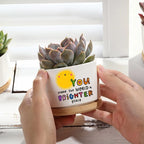 Inspirational Ceramic Succulent Pot with Drainage