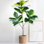 77–135cm Artificial Fiddle Leaf Ficus Fig Tree