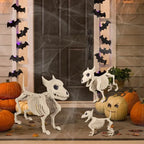 Little Wolf Skeleton Halloween Ornament Indoor & Outdoor Home Decoration