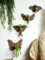Wooden Butterfly Wall-Mounted Hydroponic Planter