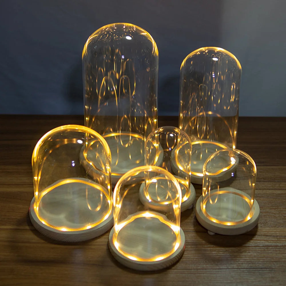 Modern Glass Display Dome with LED Wooden Base – Decorative Vase