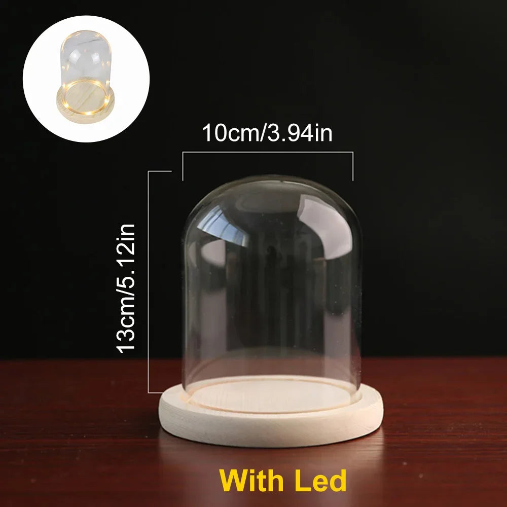 Modern Glass Display Dome with LED Wooden Base – Decorative Vase