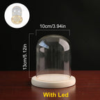 Modern Glass Display Dome with LED Wooden Base – Decorative Vase