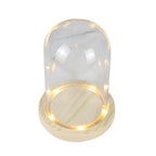 Modern Glass Display Dome with LED Wooden Base – Decorative Vase