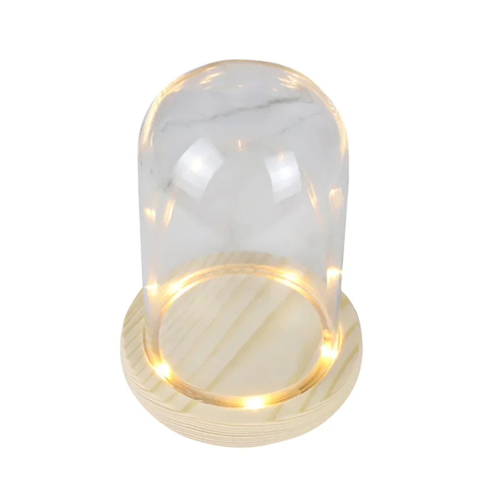 Modern Glass Display Dome with LED Wooden Base – Decorative Vase