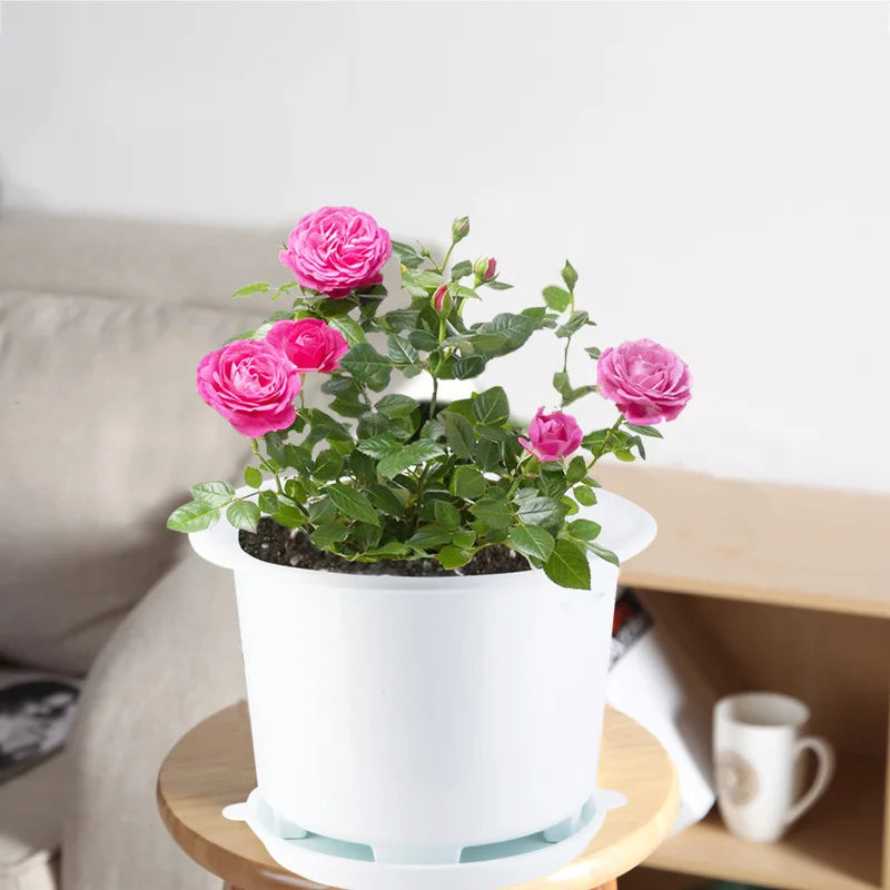Double Layer Mesh Orchid Pot with Drainage Holes