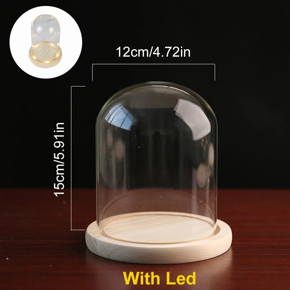 Modern Glass Display Dome with LED Wooden Base – Decorative Vase