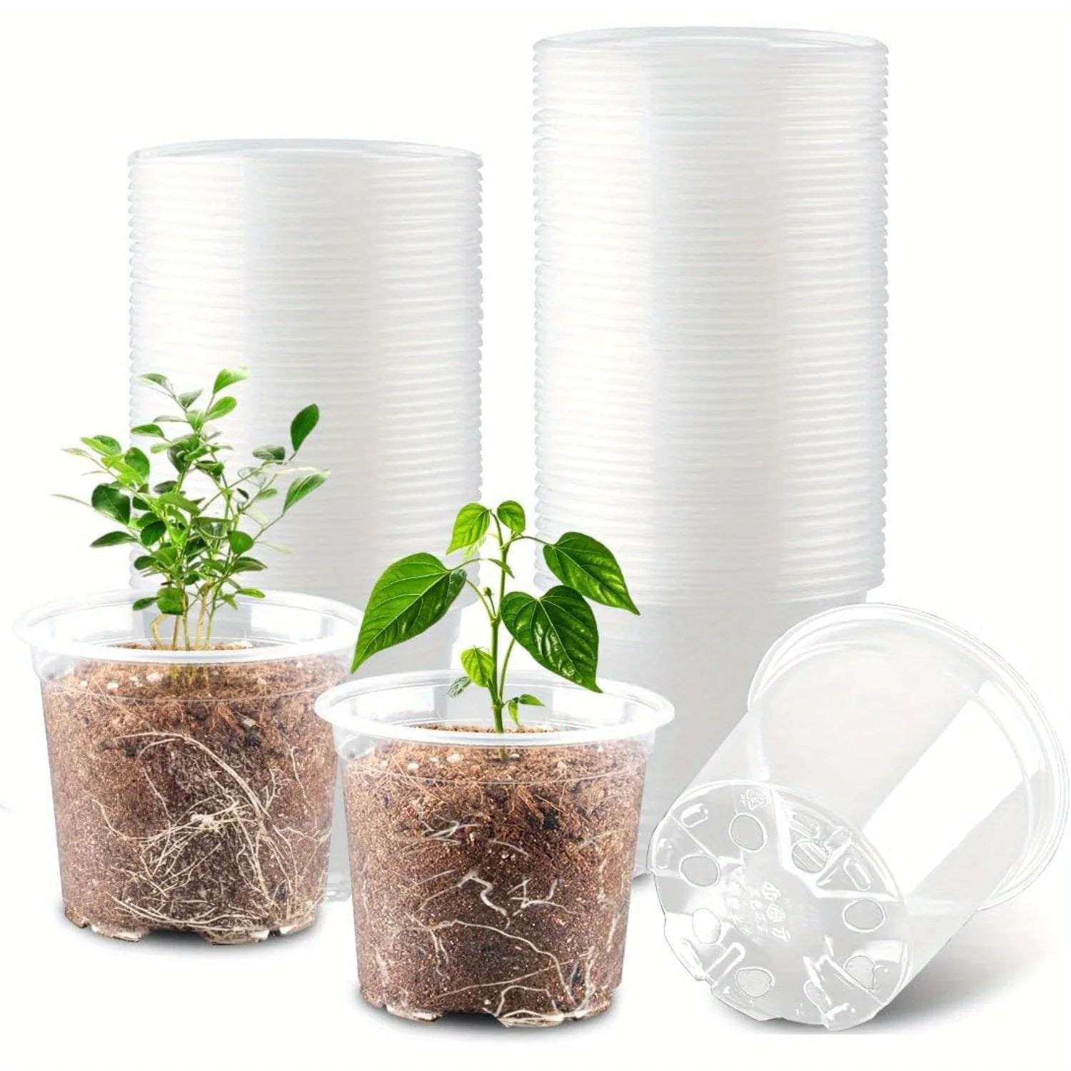 Transparent Plastic Nursery Pots with Drainage Holes