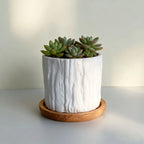 Mini Plastic Flower Pots Imitating Tree Bark