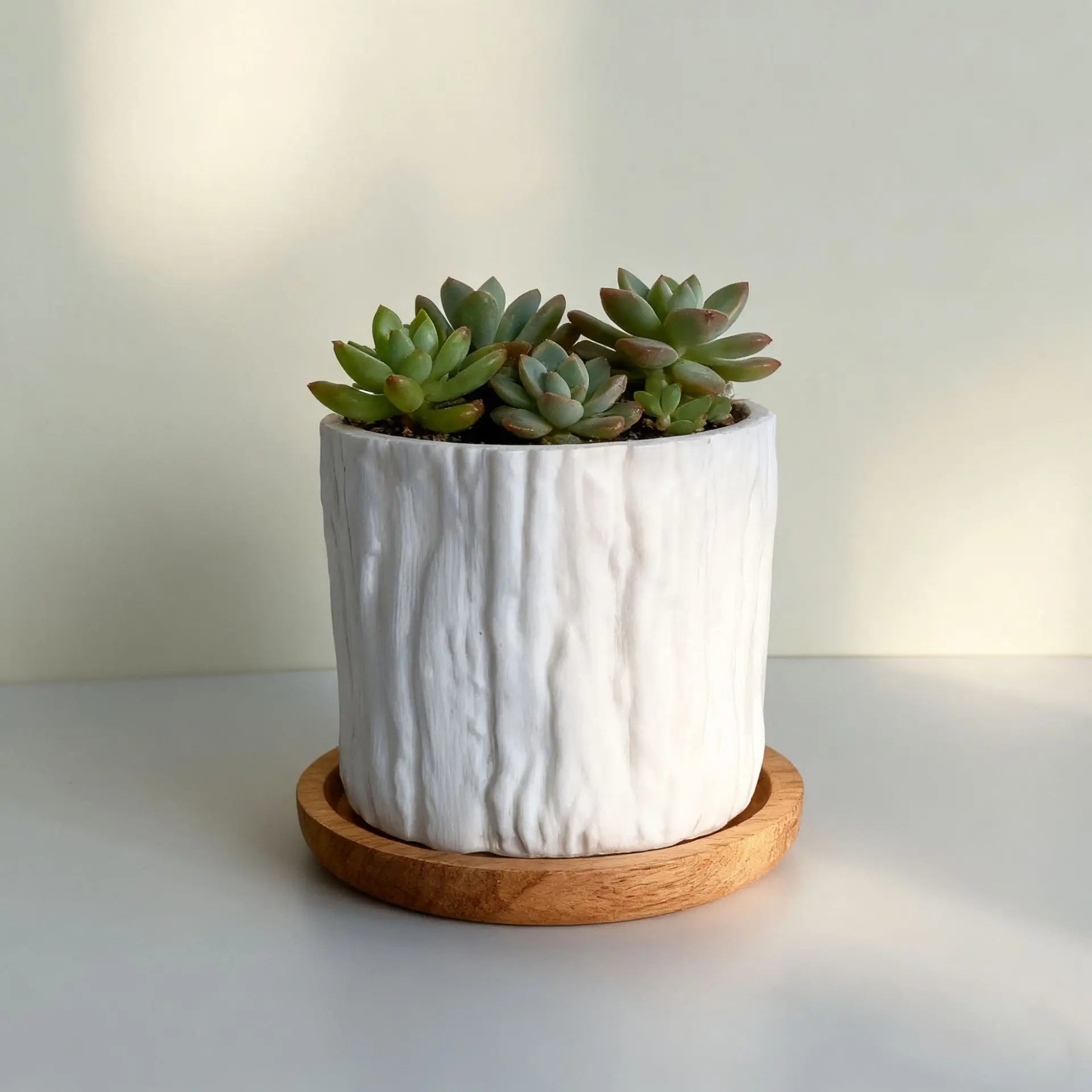 Mini Plastic Flower Pots Imitating Tree Bark