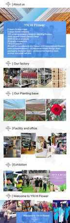 Artificial Decorative Flower Indoor Home & Event Decoration