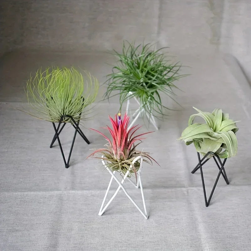 European Style Metal Desktop Flower Rack