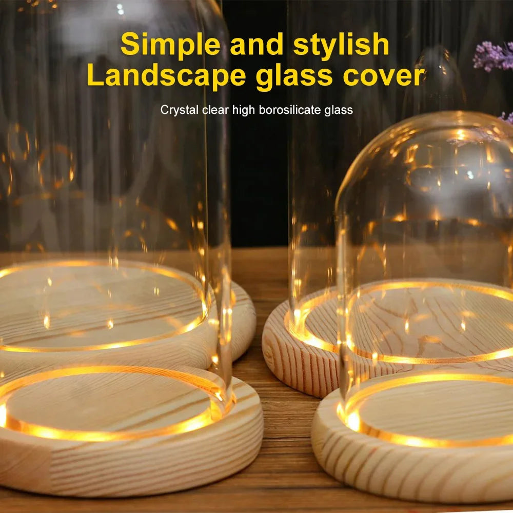 Modern Glass Display Dome with LED Wooden Base – Decorative Vase